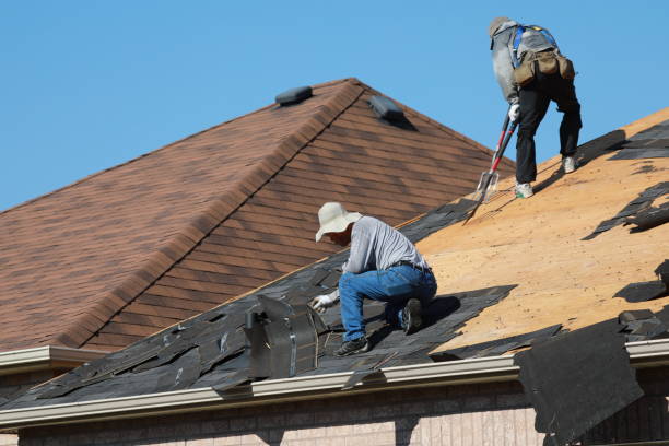 Best Roof Maintenance and Cleaning  in Robie Creek, ID