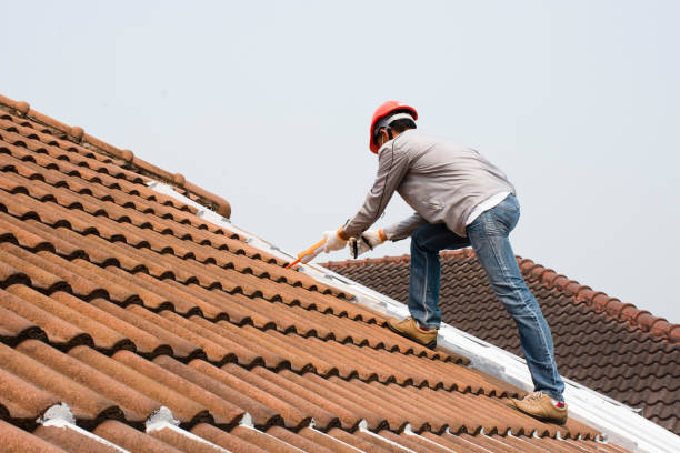 Best Rubber Roofing (EPDM, TPO)  in Robie Creek, ID