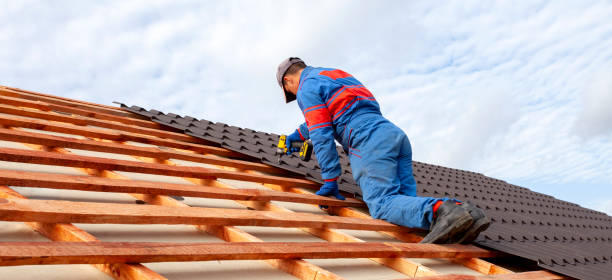 Best Roof Maintenance and Cleaning  in Robie Creek, ID