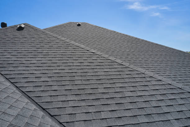 Best Solar Panel Roofing Installation  in Robie Creek, ID